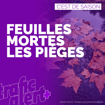Feuilles mortes : les pièges sur la route